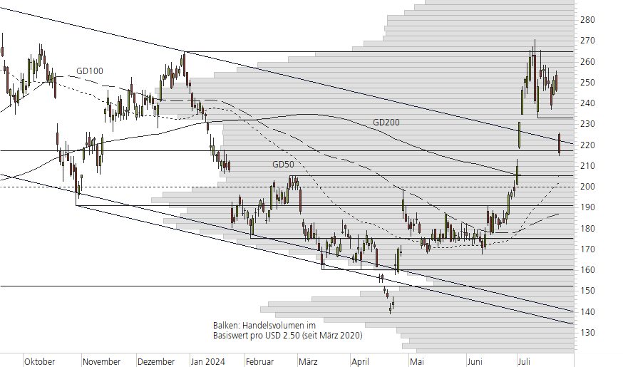 Tesla Inc-10-Monats-Chart