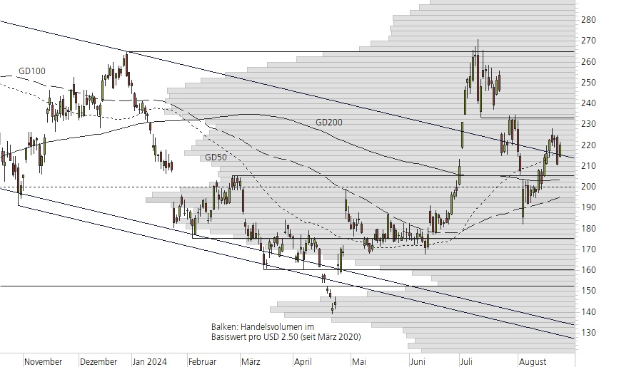 Tesla Inc-10-Monats-Chart